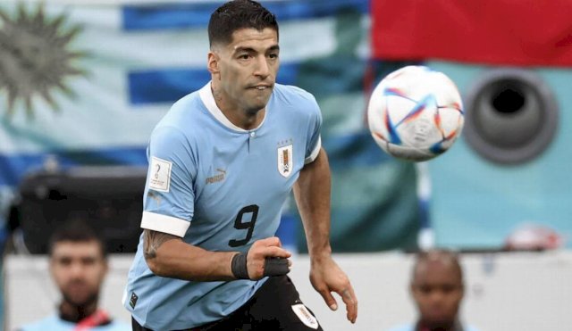 Suarez