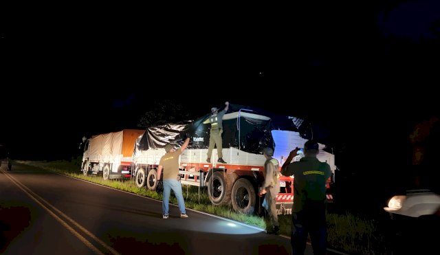Secuestraron más de 1.500 kilos de marihuana en un camión con acoplado