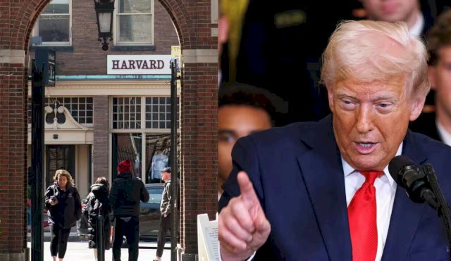 TRUMPHARVARD